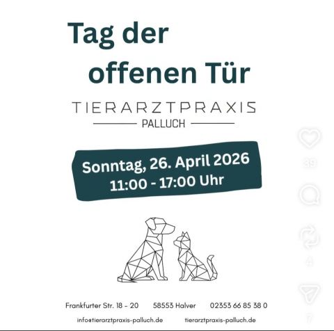 Palluch - Tag der offenen Tür